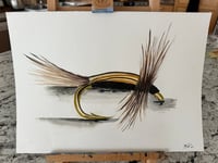 Lady McConnell Midge 