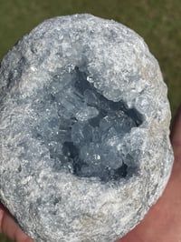 Image 10 of Celestite Geode #1951