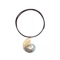 Nautilus necklace