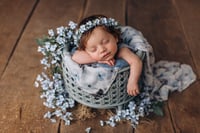 Image 1 of Set Evangeline