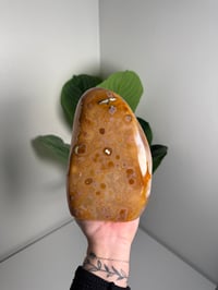 Image 1 of ORBICULAR CARNELIAN FREEFORM -MADAGASCAR- A