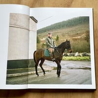 Image 9 of Dan Wood - Gap in the Hedge (Signed w/print)