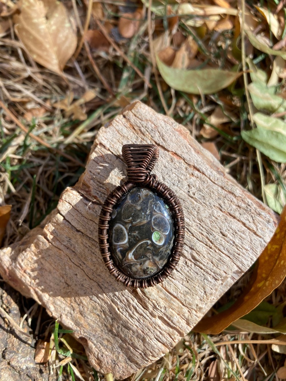 Image of Turitella Agate (fossilized snail shells) Wire Wrapped Pendant 