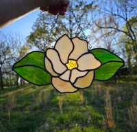 Image 1 of Magnolia 