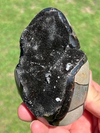 Image 6 of Septarian Nodule Polished Freeform With Calcite Inclusions| Madagascar #2894