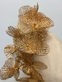 Image 2 of Gold orchids.