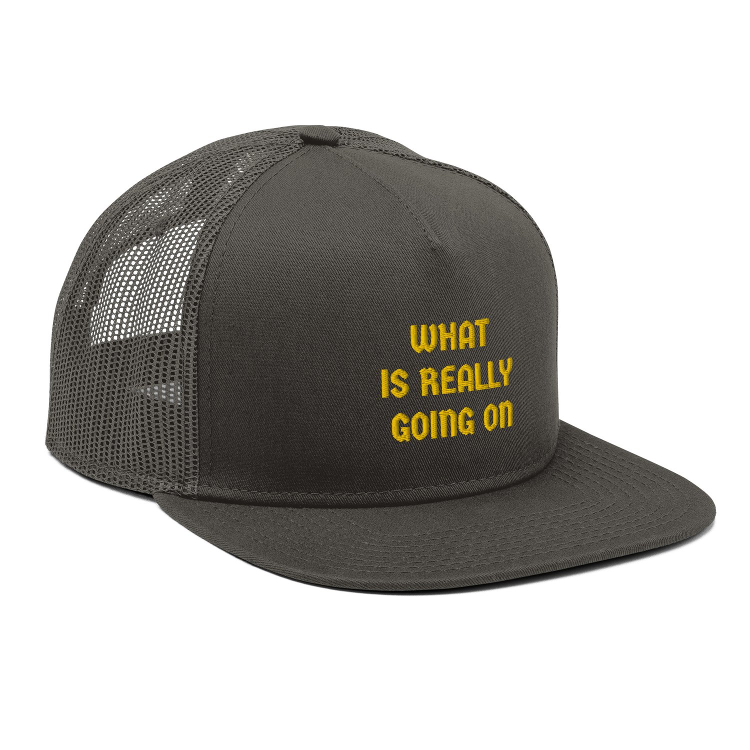 Image of "WHAT IS REALLY GOING ON" Mesh Back Snapback