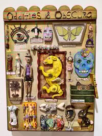 Image 1 of Oddities & Obscura- Jil Johnson