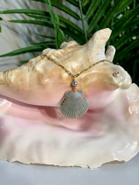 Image 2 of Scallop Shell Necklace N199