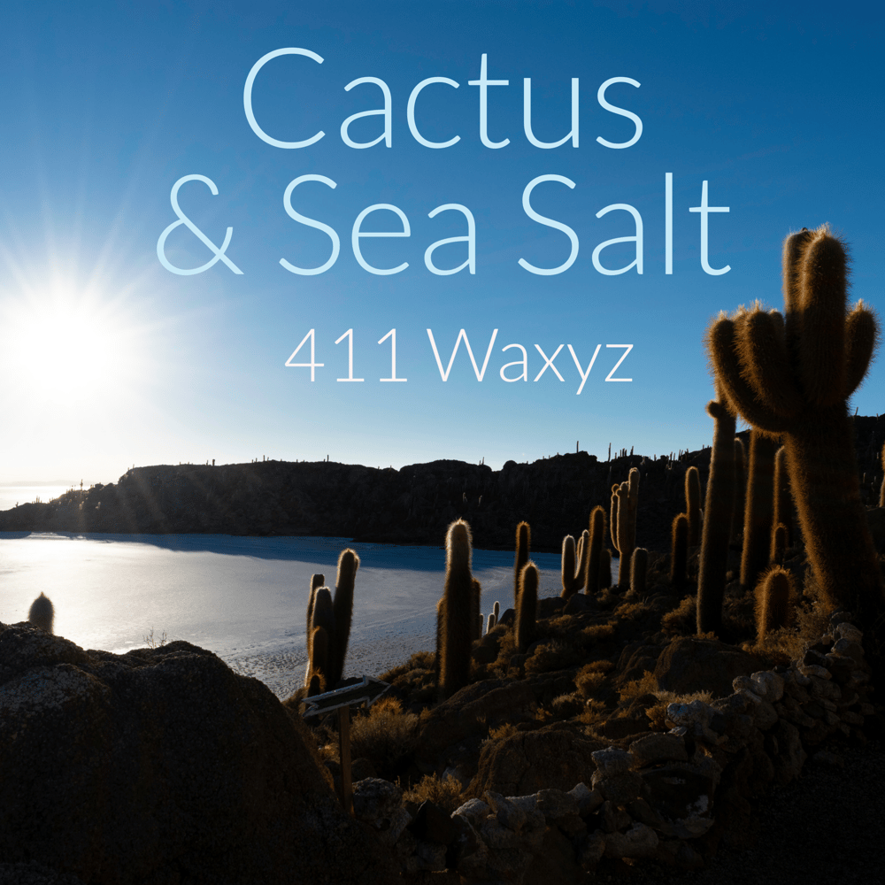Image of Cactus & Sea Salt