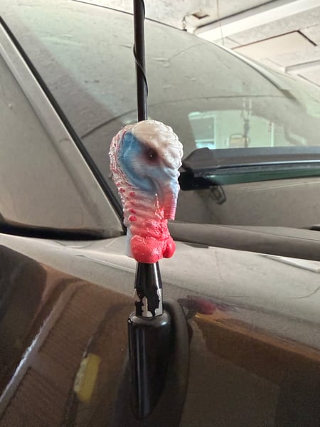 Image of Antenna Turkey Head