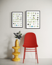 Image 4 of SAN FRANCISCO — MATCHA