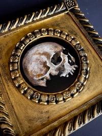 Image 4 of Cráneo 