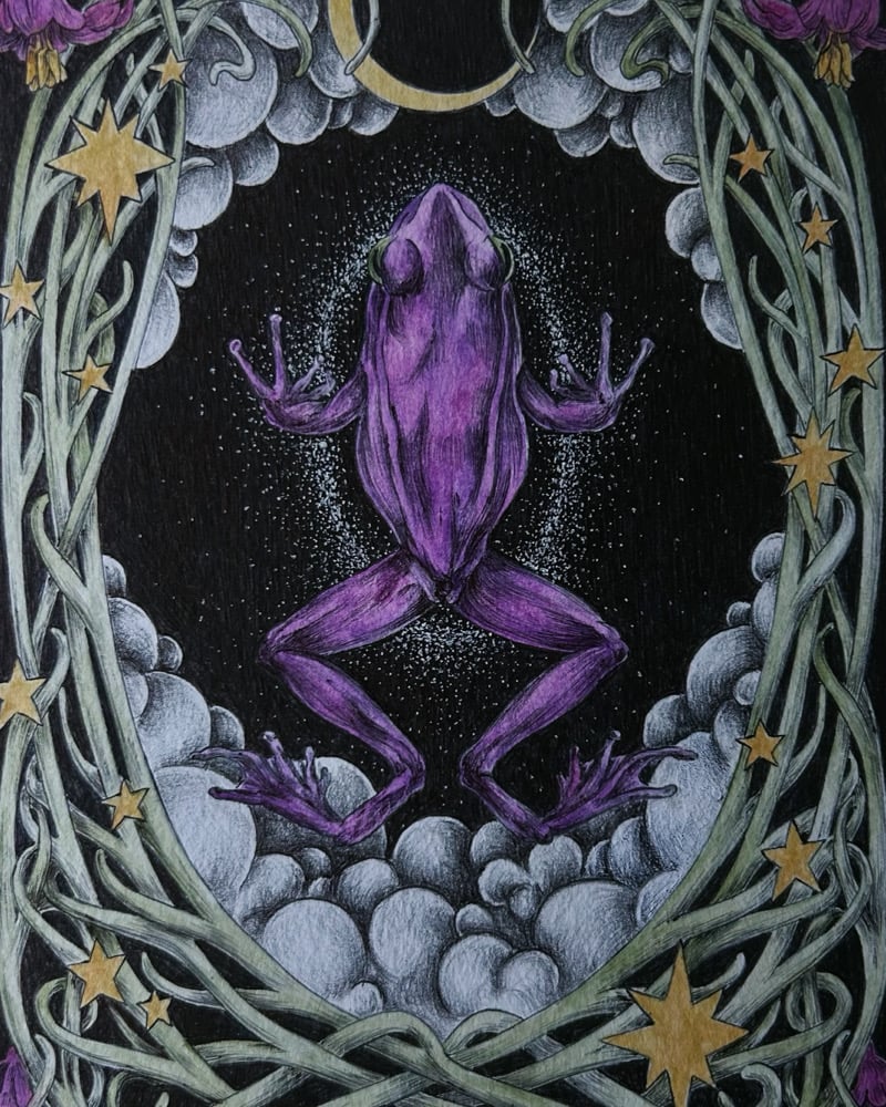 Image of The Frog Realm