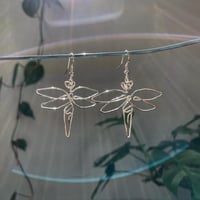 Image 1 of Dragonflies