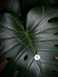 Image 1 of The Meadow