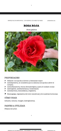 Image 3 of EBOOK SALUD EMOCIONAL