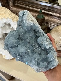 Image 4 of Celestite Open Crystal Cluster #2589