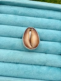 Image 1 of Cowry ring 2 - sample