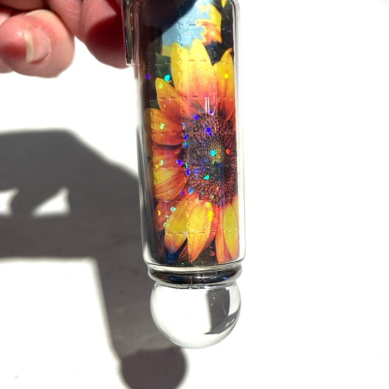 China Cat Sunflower Image 3