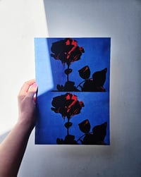 Image 3 of PICK ROSES AT NIGHT I