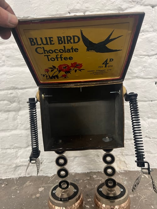 Image of Bluey Flickthebird