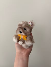 Image 2 of Sunny the Wolf Pup