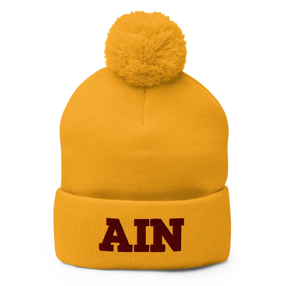 AIN Pom-Pom Embroidered Beanie
