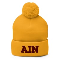 Image 2 of AIN Pom-Pom Embroidered Beanie