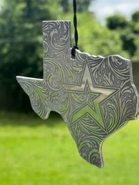 Image 2 of Astros Texas