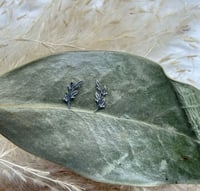 Image 1 of Body Vision Los Angeles.