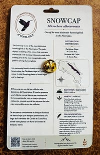 Image 5 of Hummingbirds of Costa Rica Pin Badges