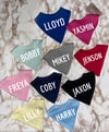 Name Baby Bandana