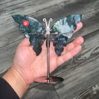 Image 2 of Moss Agate Butterfly Wings 
