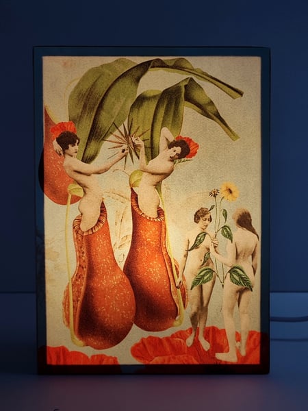 Image of Renacimiento.