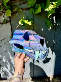Image 1 of Iridescent Wildcat Skull 