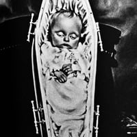 Image 16 of Illustration Commercial Photo special edition 1978