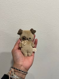 Tan Mini Pup