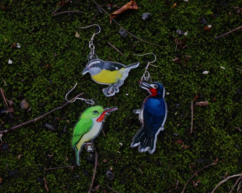 Birds of Puerto Rico • Acrylic Earrings • San Pedrito Earrings • Bananaquit Earrings 