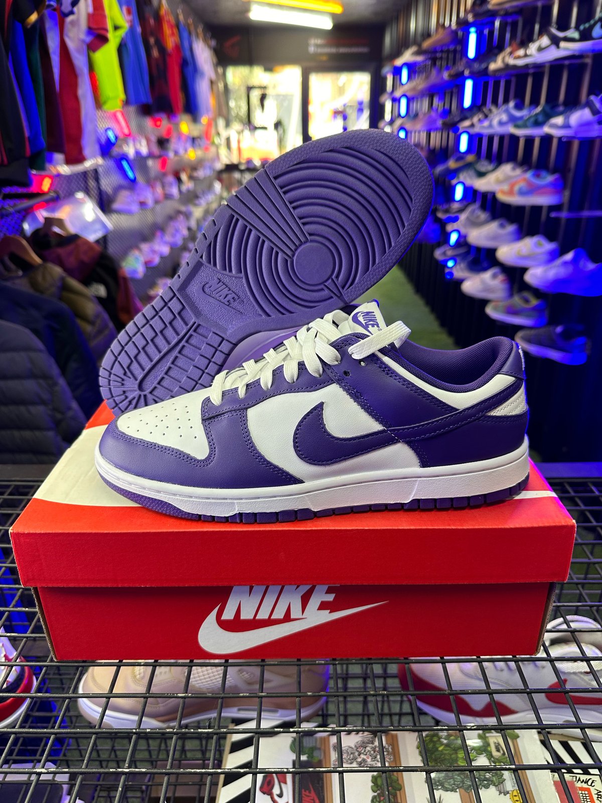 NIKE DUNK LOW COURT PURPLE | Manfredi's exclusive Sneakers