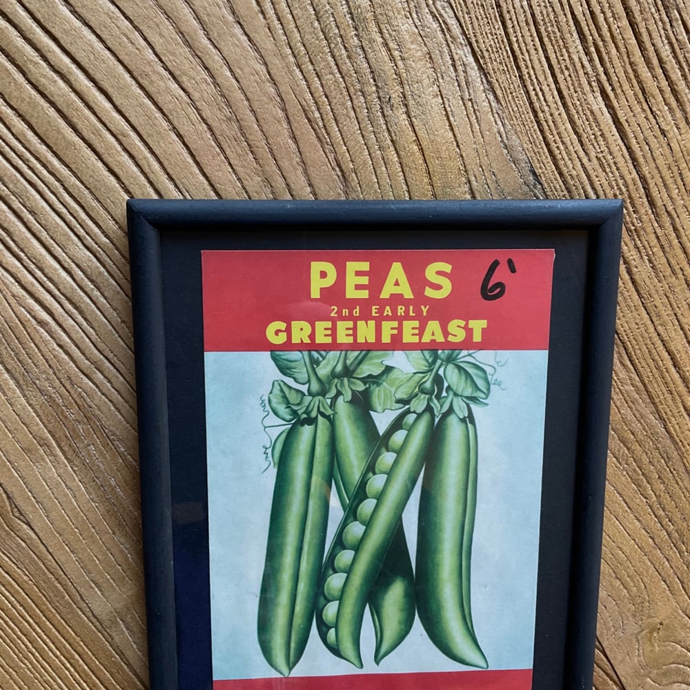 Image of Beans