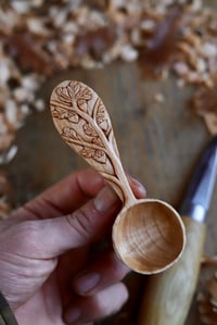 Image 8 of Oak Tree- Coffee Scoop