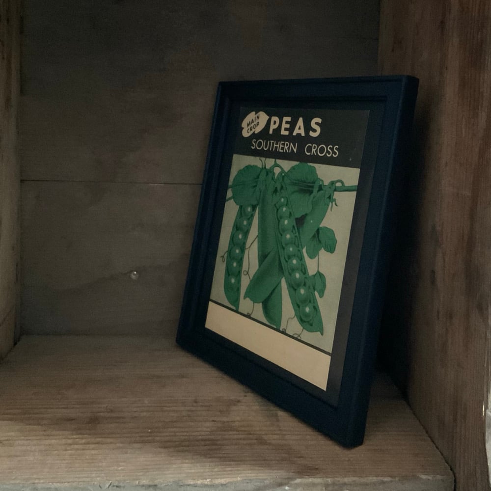Image of Peas no.2