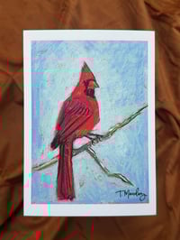 Cardinal- Print 