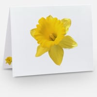 Image 1 of Daffodil Delight Stationary