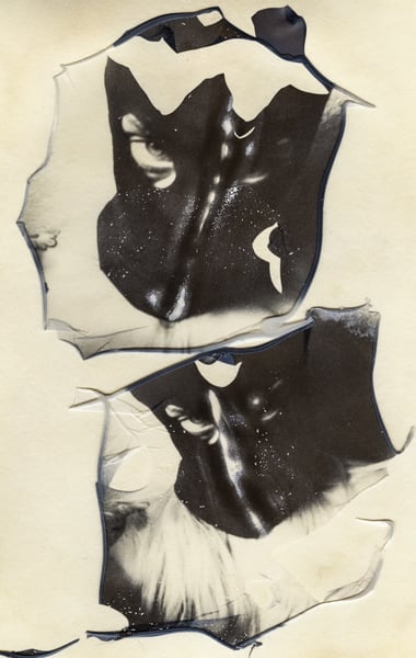 Image of “Hooded Portrait Diptych” 