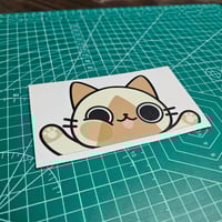 Palico Peeker!