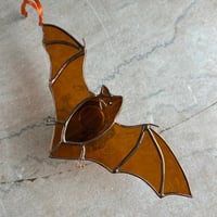 Image 3 of Bronze Muffle Flying Bat