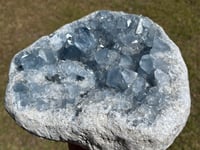 Image 5 of Large Celestite Open Cluster #2356