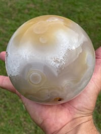 Image 4 of Flower Agate Crystal Sphere #1350